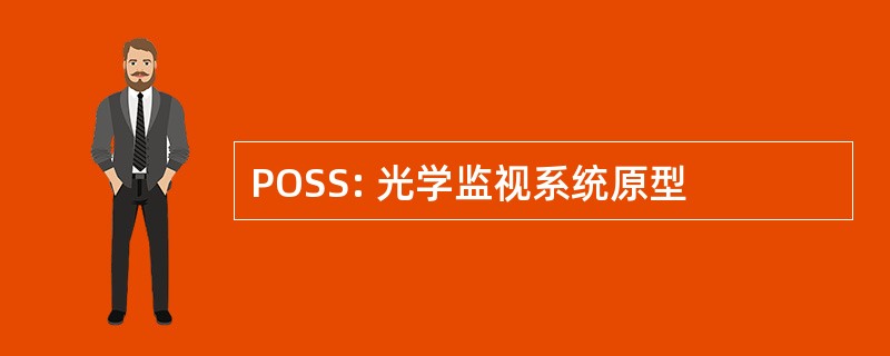 POSS: 光学监视系统原型