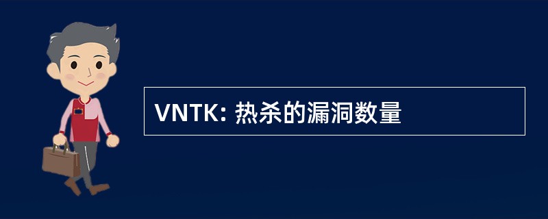 VNTK: 热杀的漏洞数量