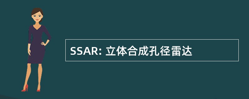 SSAR: 立体合成孔径雷达