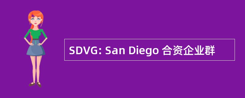 SDVG: San Diego 合资企业群