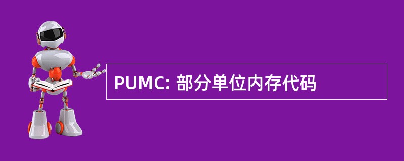 PUMC: 部分单位内存代码