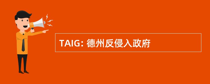 TAIG: 德州反侵入政府