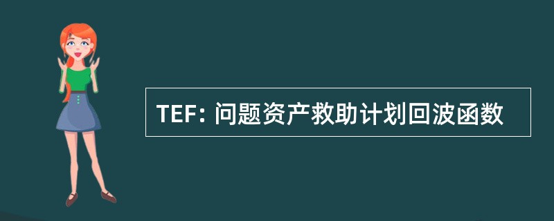 TEF: 问题资产救助计划回波函数