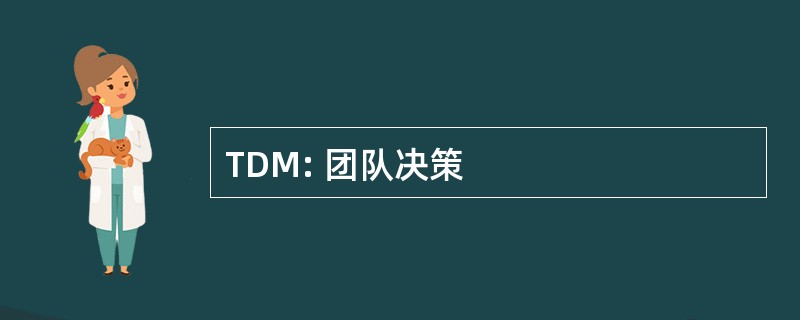 TDM: 团队决策