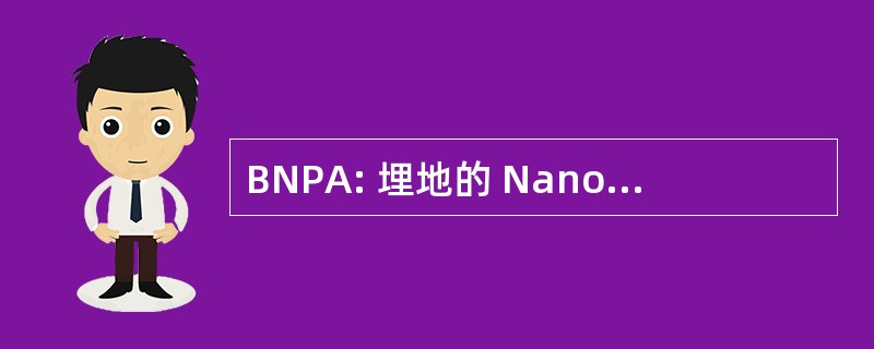 BNPA: 埋地的 Nanopyramid 数组