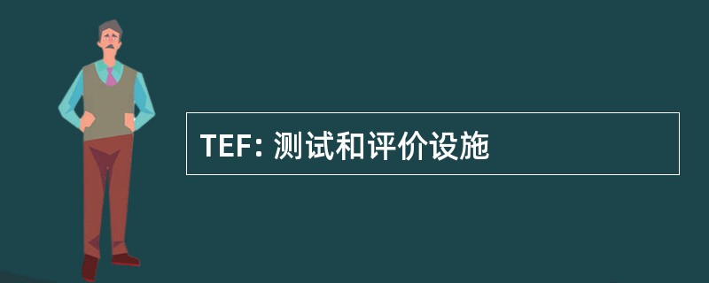 TEF: 测试和评价设施