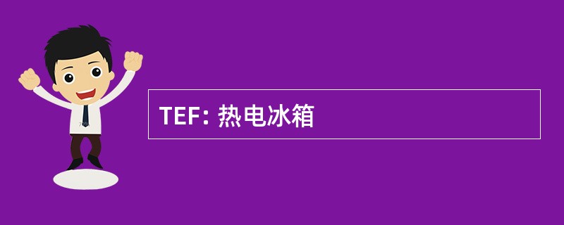 TEF: 热电冰箱