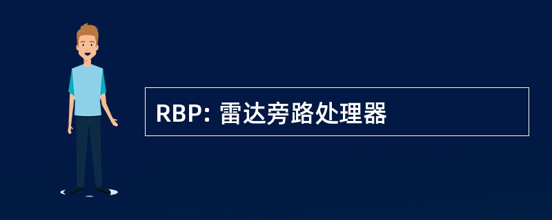 RBP: 雷达旁路处理器