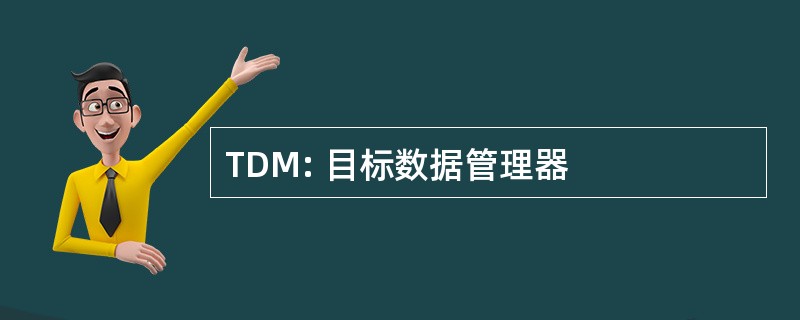 TDM: 目标数据管理器