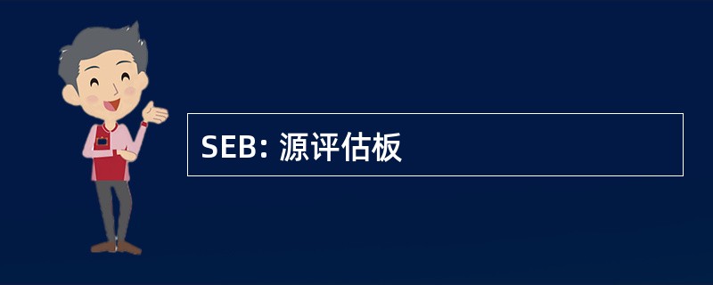 SEB: 源评估板