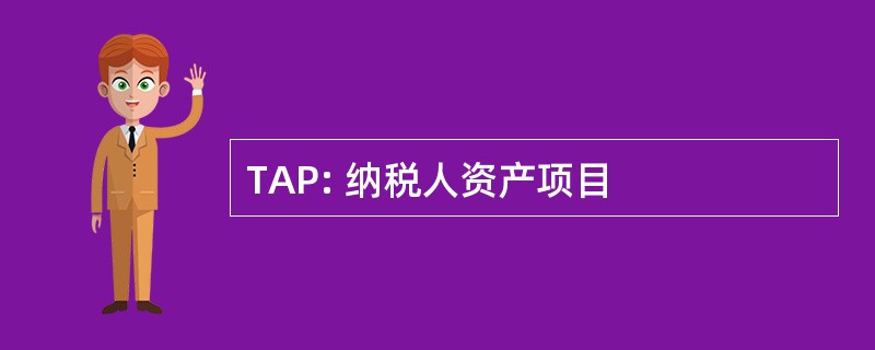 TAP: 纳税人资产项目