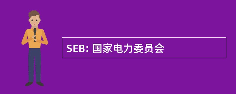 SEB: 国家电力委员会