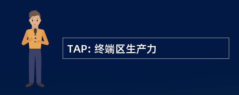 TAP: 终端区生产力