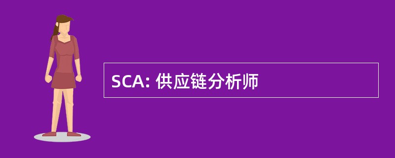 SCA: 供应链分析师