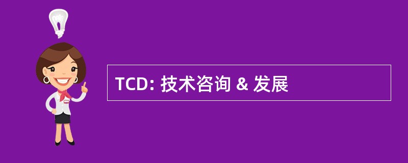 TCD: 技术咨询 & 发展