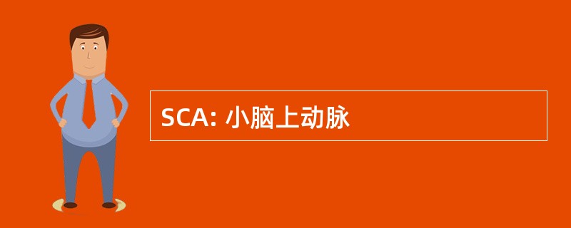 SCA: 小脑上动脉