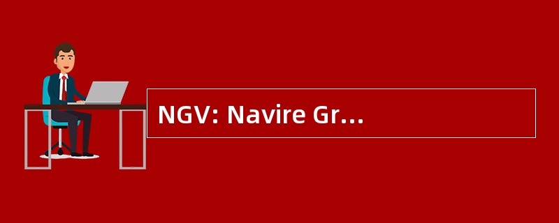 NGV: Navire Grande vitesse 公司