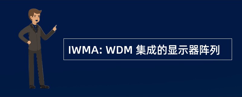 IWMA: WDM 集成的显示器阵列