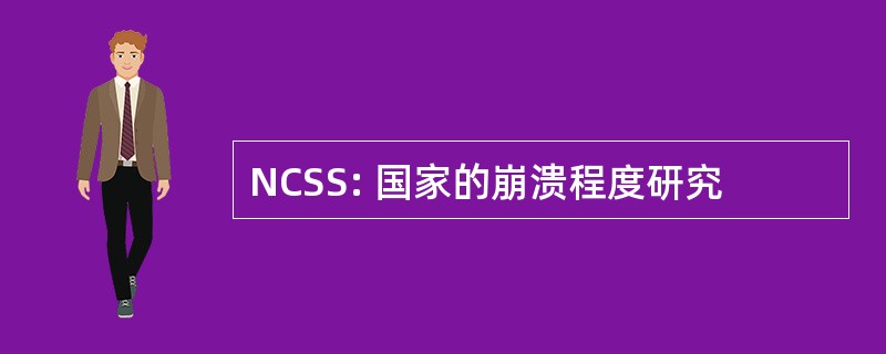 NCSS: 国家的崩溃程度研究