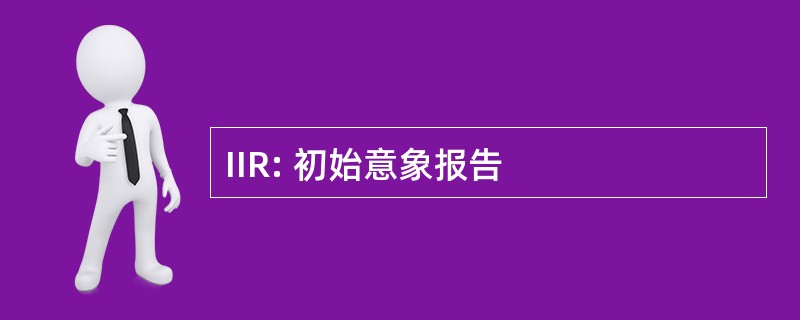 IIR: 初始意象报告