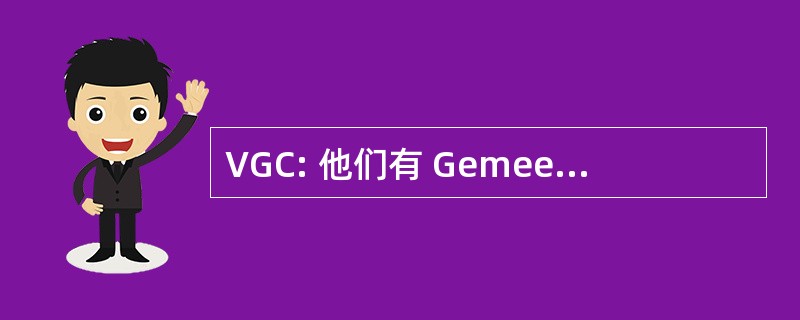 VGC: 他们有 Gemeenschapscommissie