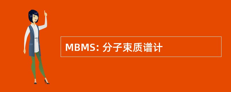 MBMS: 分子束质谱计