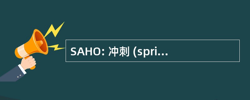 SAHO: 冲刺 (sprint) 优势层次结构选项