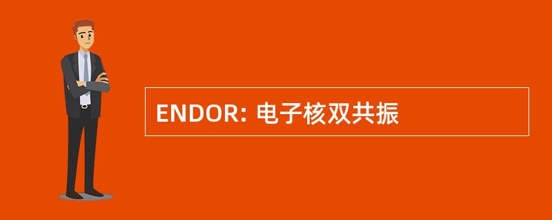 ENDOR: 电子核双共振