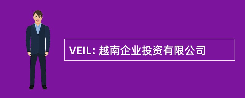 VEIL: 越南企业投资有限公司