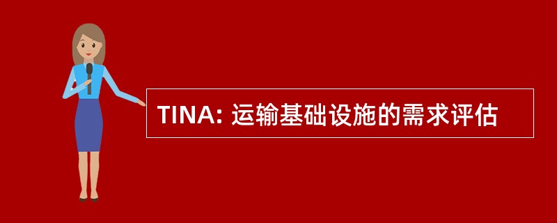 TINA: 运输基础设施的需求评估