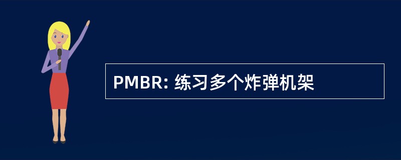 PMBR: 练习多个炸弹机架