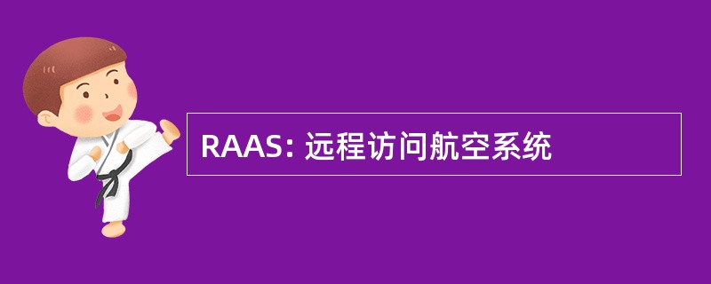 RAAS: 远程访问航空系统