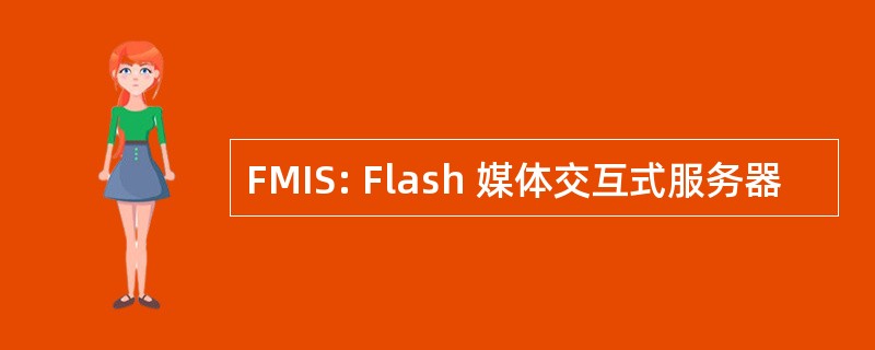 FMIS: Flash 媒体交互式服务器