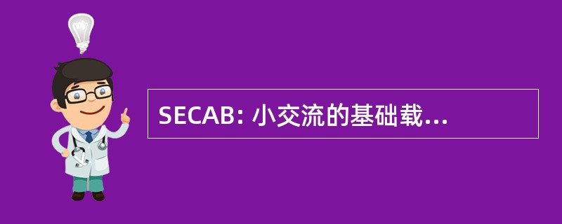 SECAB: 小交流的基础载体访问计费