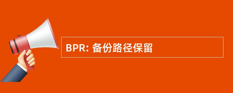 BPR: 备份路径保留