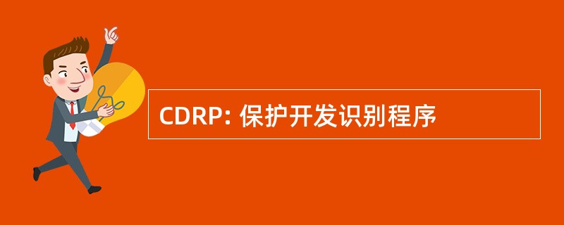 CDRP: 保护开发识别程序