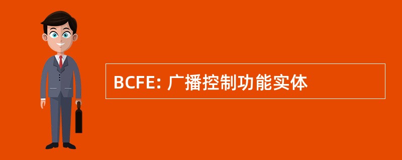 BCFE: 广播控制功能实体