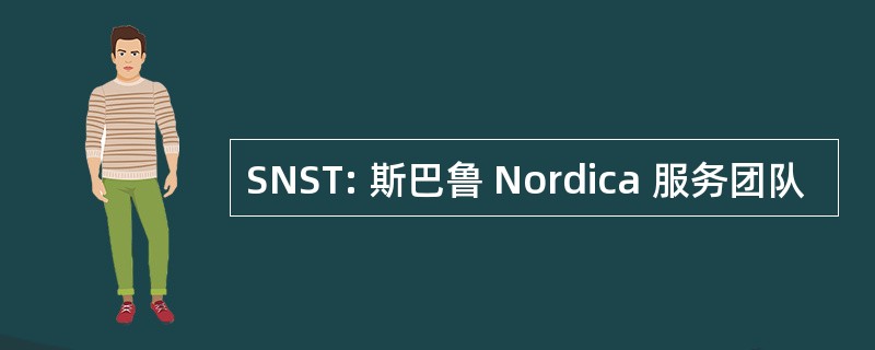 SNST: 斯巴鲁 Nordica 服务团队