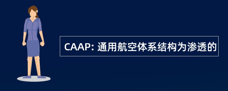 CAAP: 通用航空体系结构为渗透的