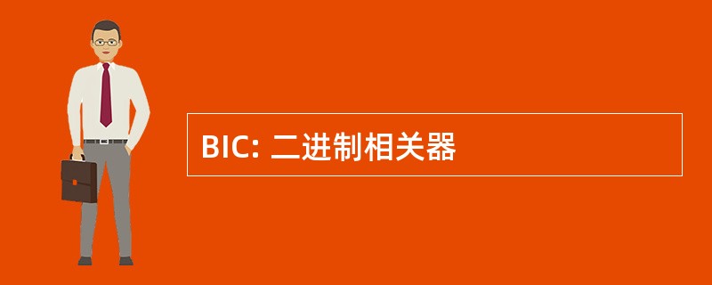 BIC: 二进制相关器