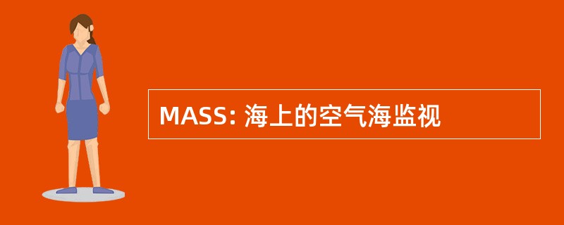 MASS: 海上的空气海监视