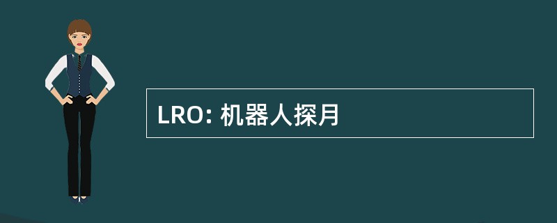 LRO: 机器人探月