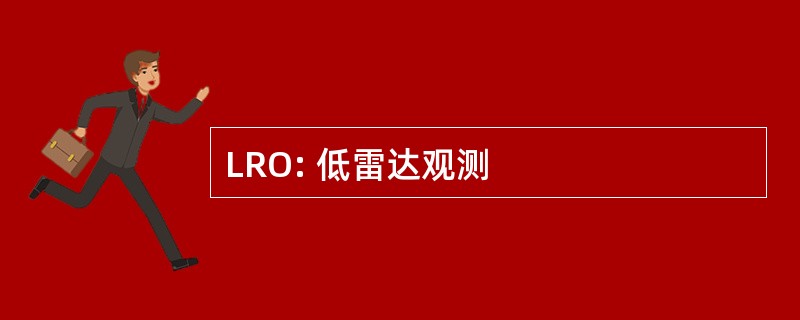 LRO: 低雷达观测