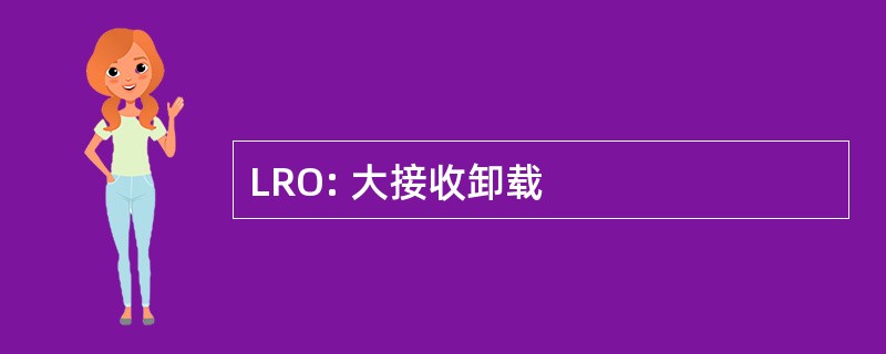 LRO: 大接收卸载