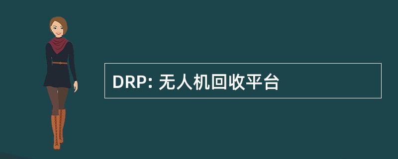 DRP: 无人机回收平台