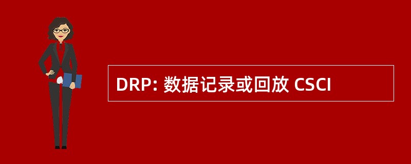 DRP: 数据记录或回放 CSCI