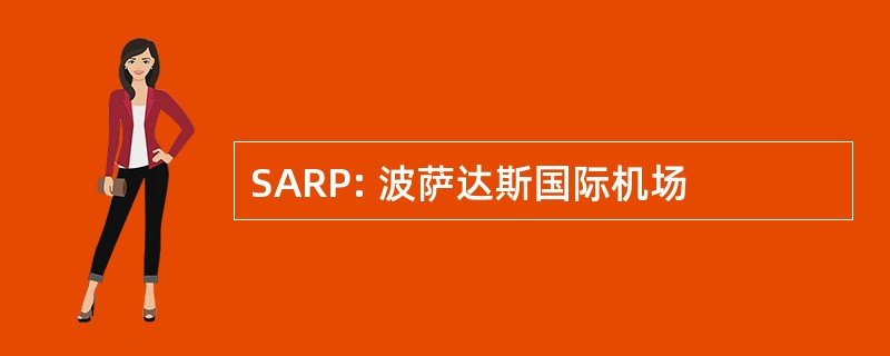 SARP: 波萨达斯国际机场