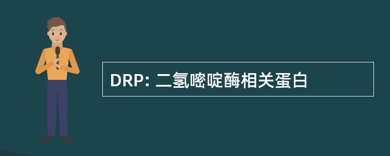 DRP: 二氢嘧啶酶相关蛋白