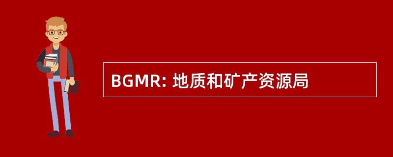 BGMR: 地质和矿产资源局