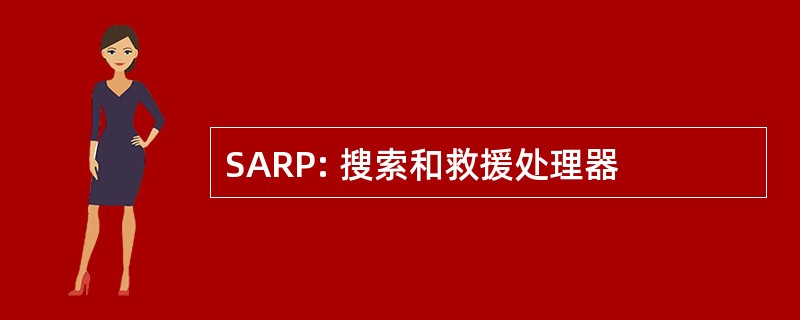 SARP: 搜索和救援处理器